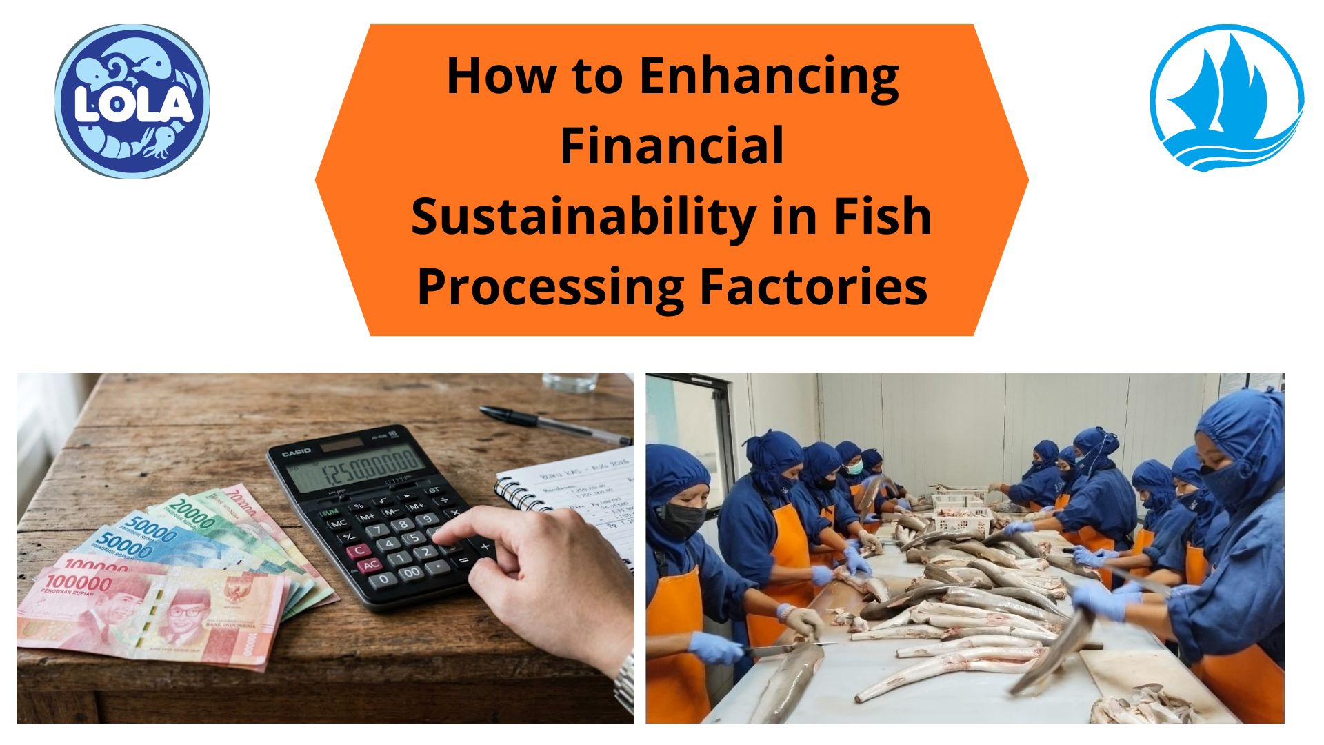  How to Enhancing Financial Sustainability in Fish Processing Factories